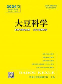 大豆科学